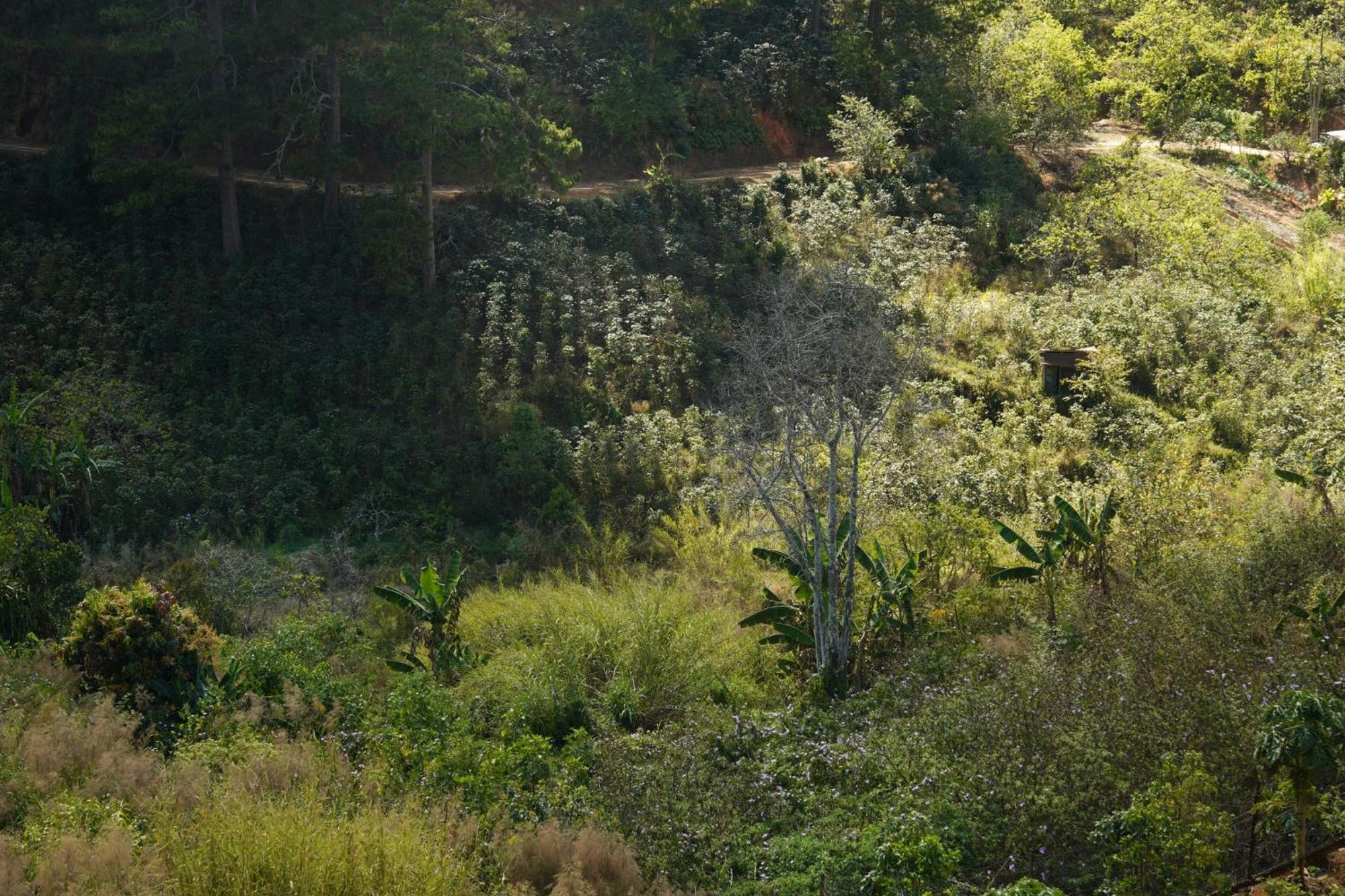 Emai Valley Da Lat Exterior foto